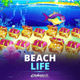 Beach Life