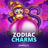 Zodiac Charms
